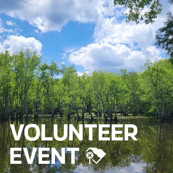 301 Bridge Volunteer Cleanup Day