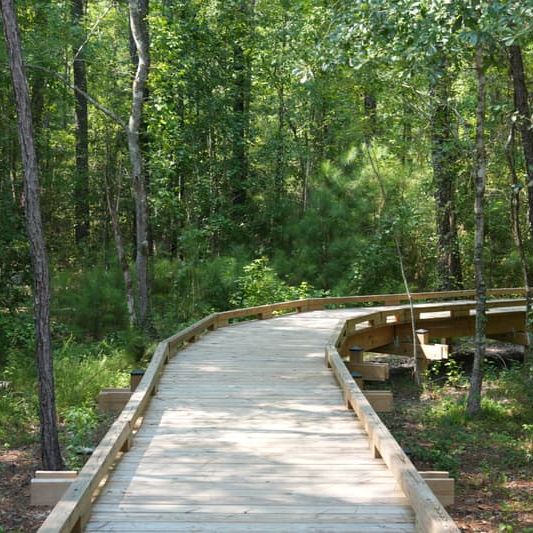 Bird Walk along the Boyd Passage