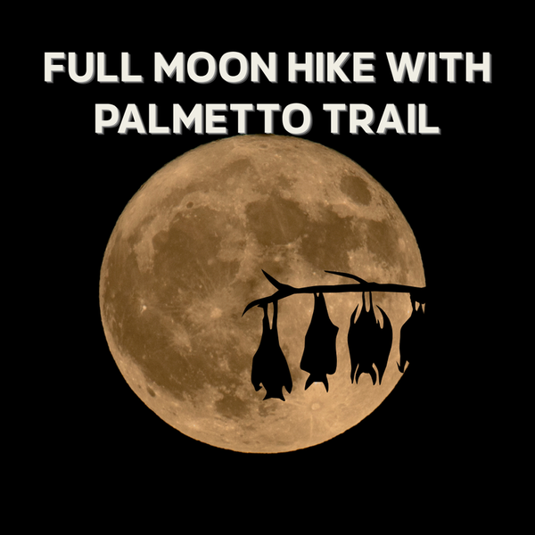 Full Moon Hike