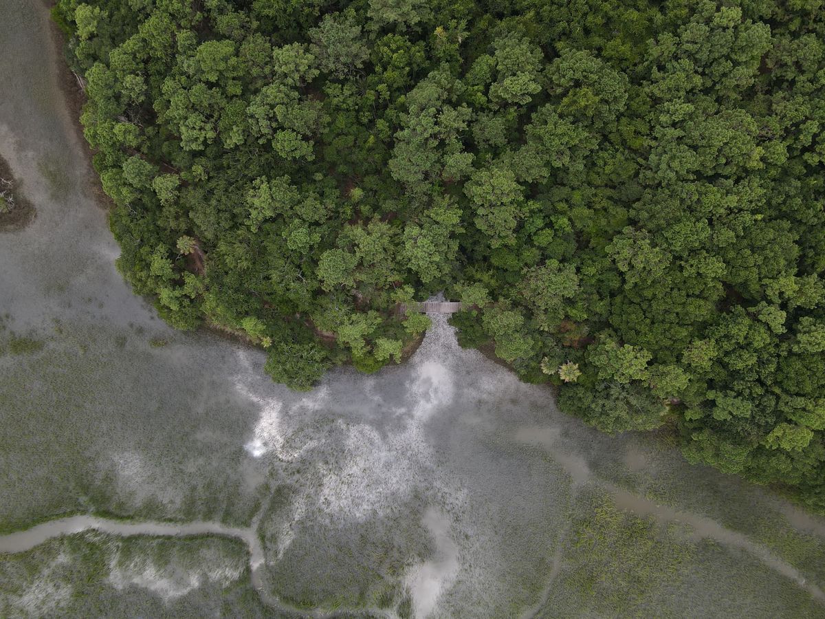 Arial view of a river
