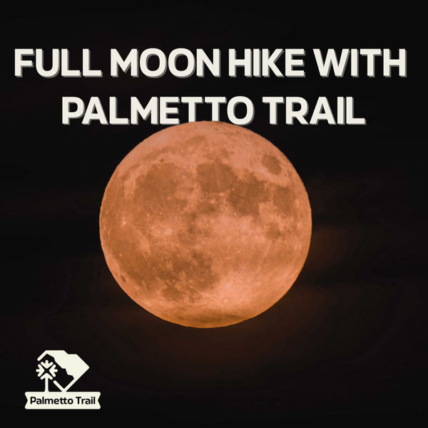 Full Moon Hike - Peak to Prosperity