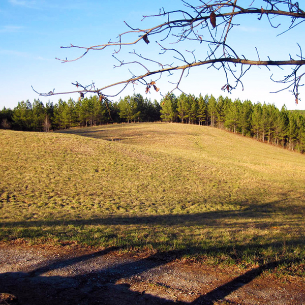 Blackstock Battlefield Tour