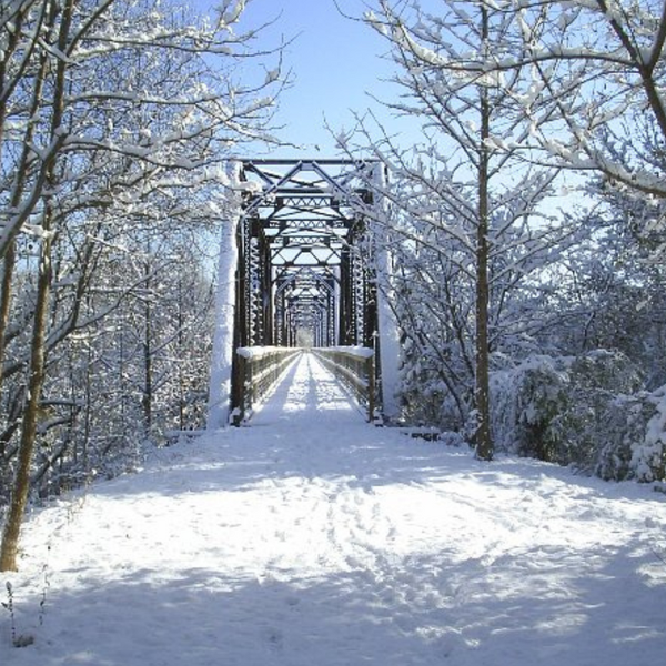 Palmetto Trail Holiday Party