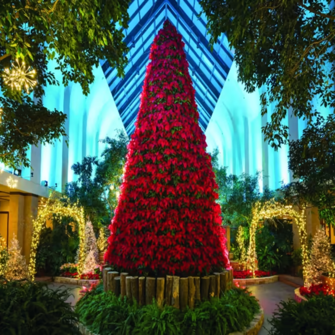 holiday poinsettia tree