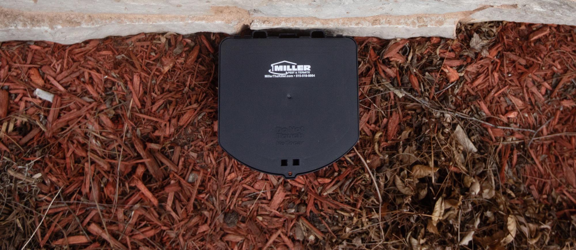 exterior rodent station for midwest homes