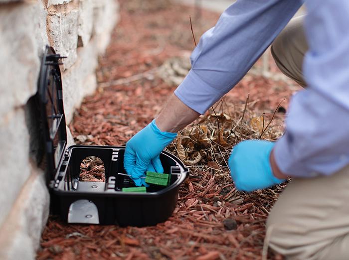 rodent control pro checking rodent bait station