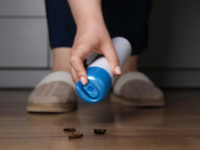 diy pest control