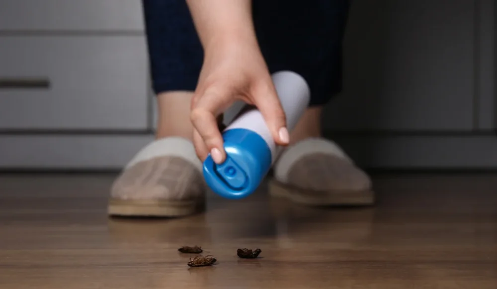 diy pest control
