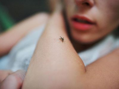 woman being bitten by a mosquito