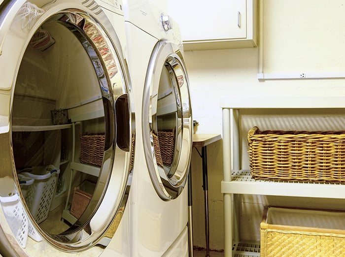 laundry rooms can attract ants