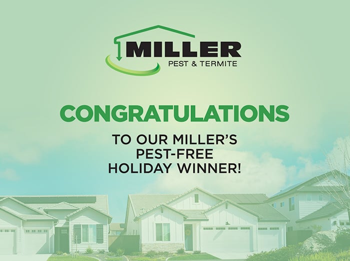 pest-free holiday winner announcement