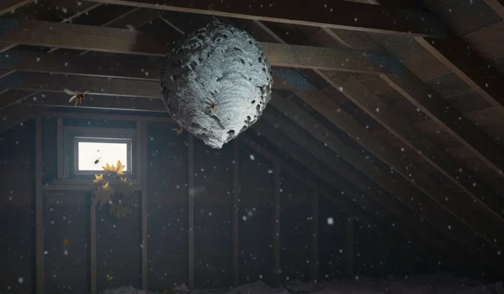 wasp nest in attic