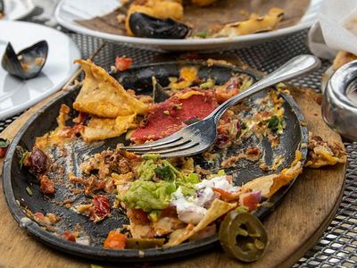 a plate of food left out for cockroaches to find