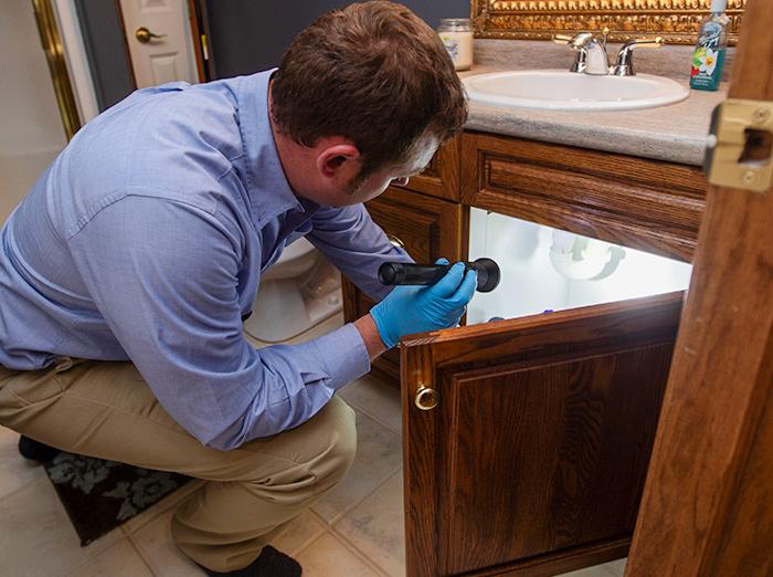 pest exterminator inspecting under bathroom sink