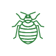 bed bug control icon