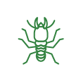 termite treatment icon