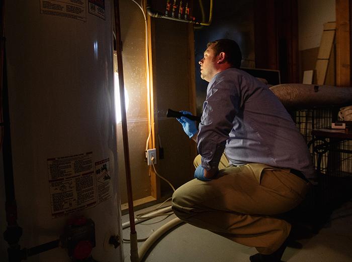 pest control specialist inspecting for rodents in basement