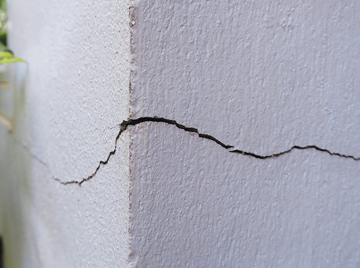 pest control tip - seal crack in the foundation