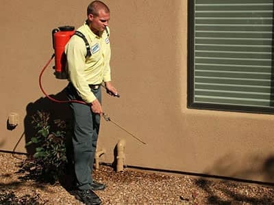 tucson exterminator treating home for pests