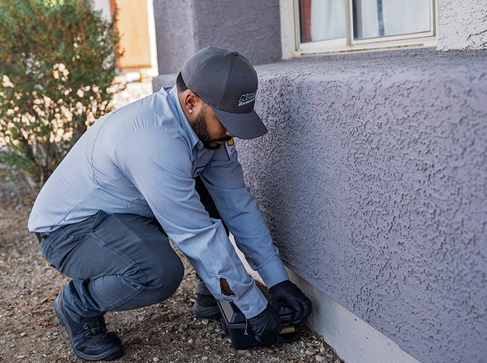 phoenix pest control pro checking rodent station