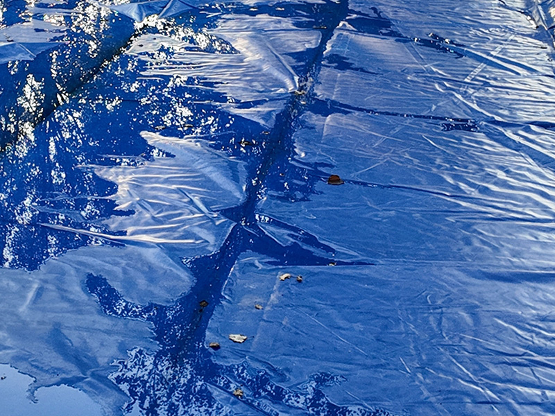pool cover with water attracts mosquitoes