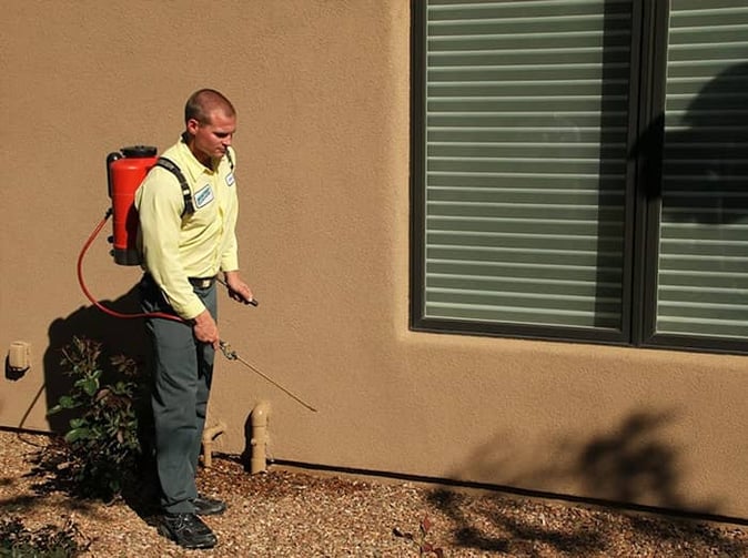 arizona pest control specialist treating home