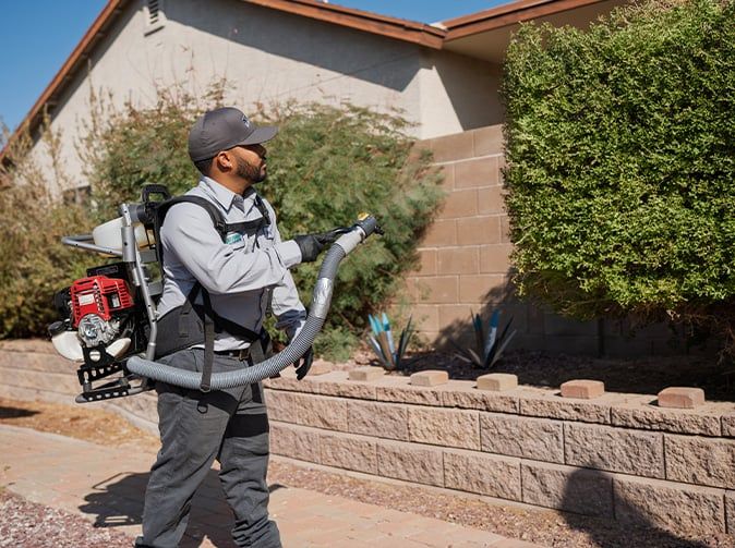 pest control technician treating for mosquitoes in arizona