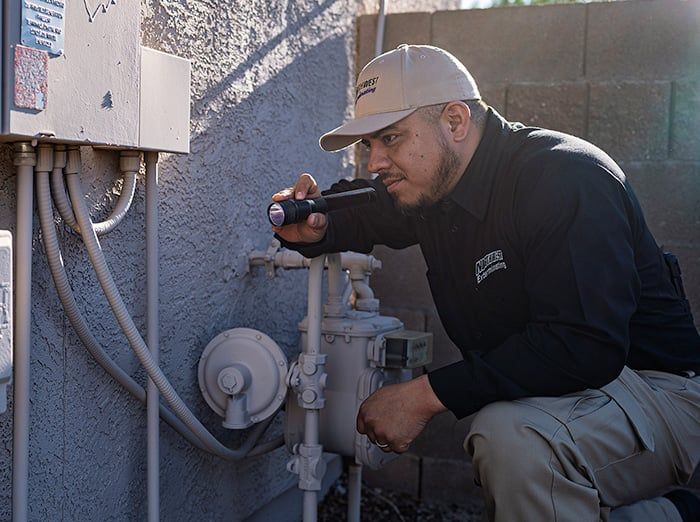 pest expert looking for ways scorpions get inside