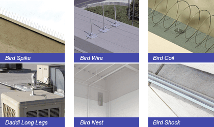 Learn More About Bird Control Around Your Arizona Home Tucson bird pest control service outline