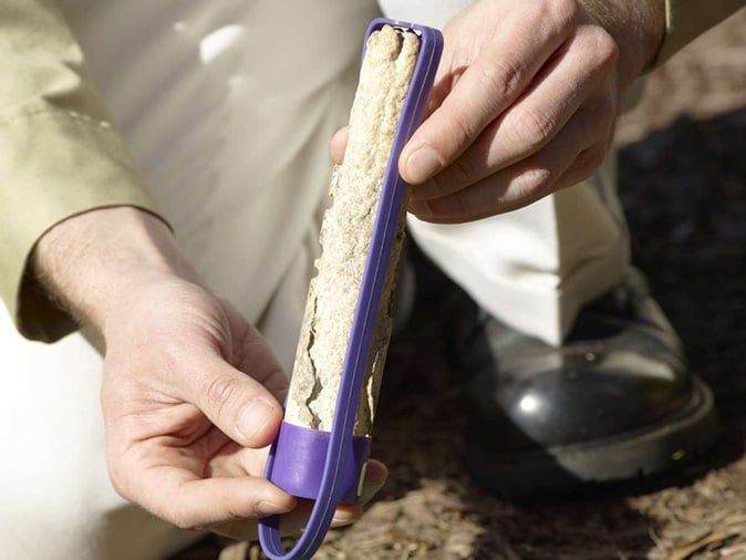 sentricon bait with evidence of termite foraging