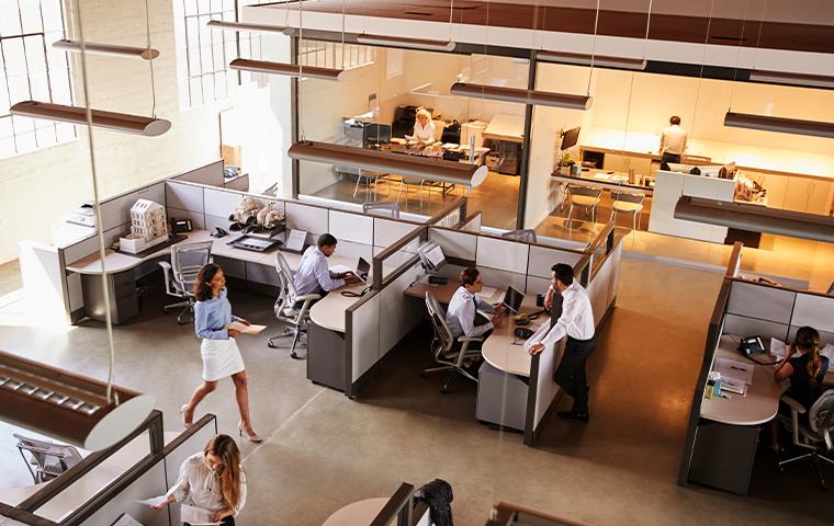 interior of an office in plano texas