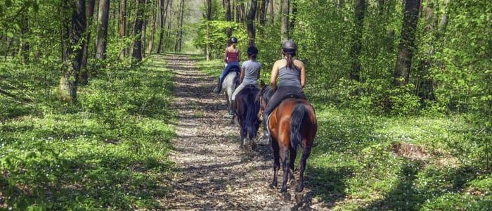 Horseback Riding