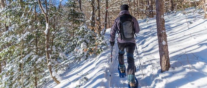 Snowshoeing