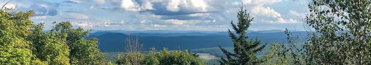 A view of blue mountains in the background and trees in the foreground.
