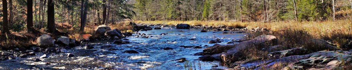 Sun shines on a section of river with rapids