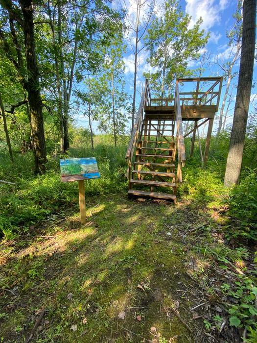 Lookout tower (Credit: Chris Young)