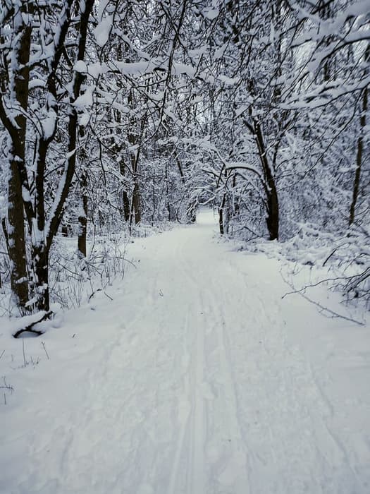 Fairy land in winter ✨️