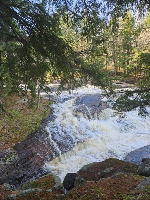 Basford Falls Springtime