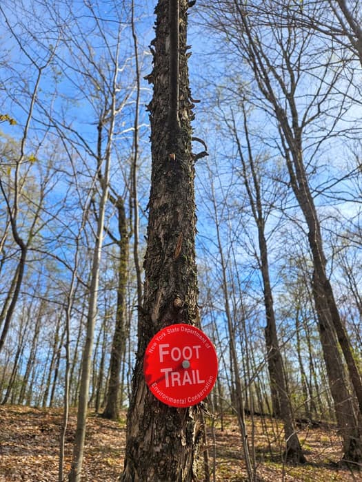 Trail marker