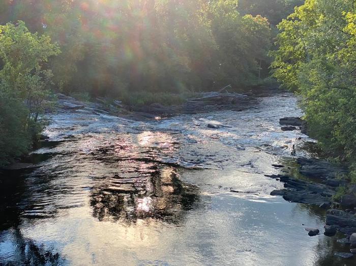 Magical Light (Credit: Laura Rediehs)