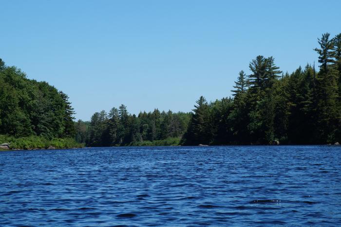 (Credit: William Hill)