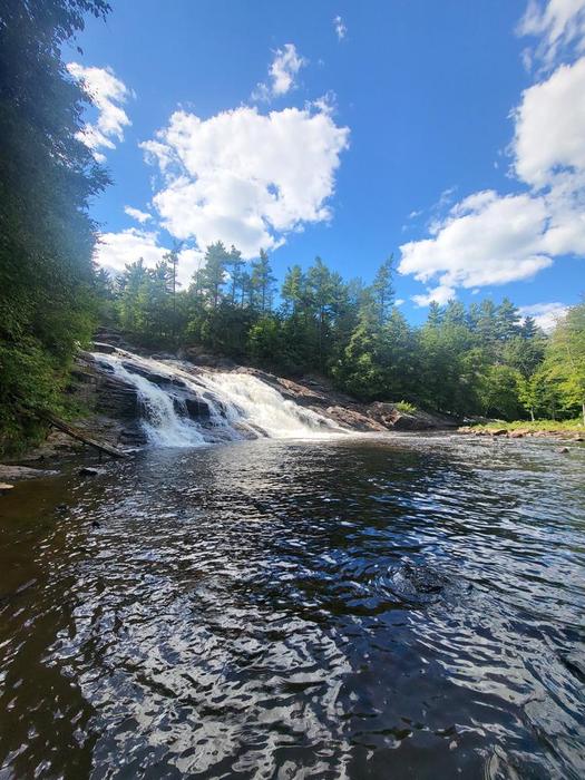 (Credit: Dorian Vargas)