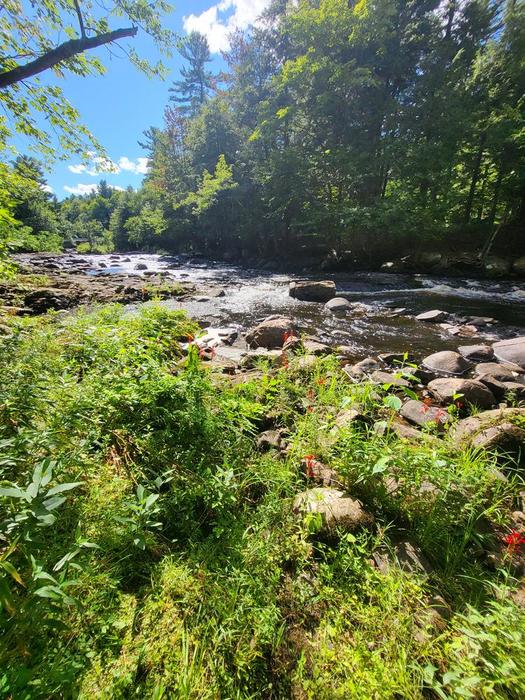 (Credit: Dorian Vargas)