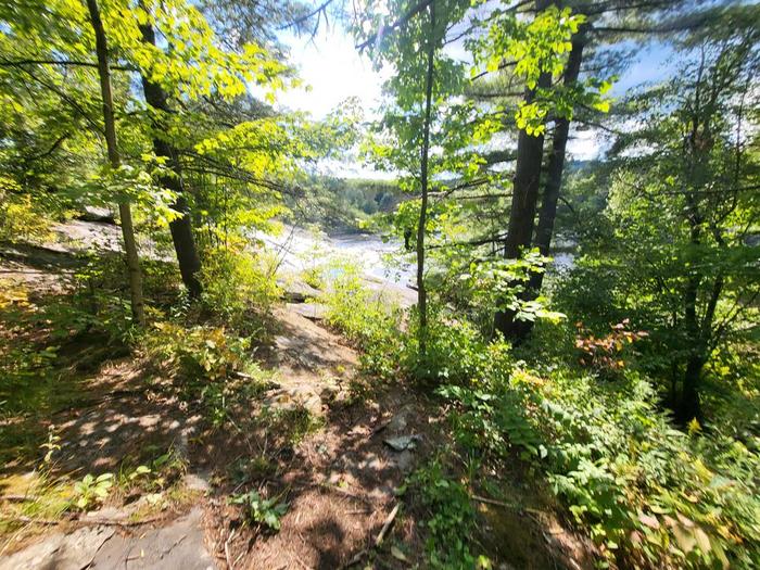 (Credit: Dorian Vargas)