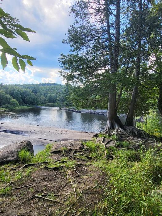 From the top of the falls (Credit: Dorian Vargas)
