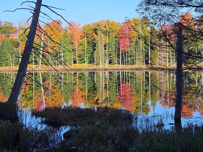 (Credit: Kerry Ahern)