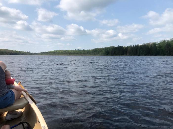 Beautiful day in late may (Credit: Jakobp)