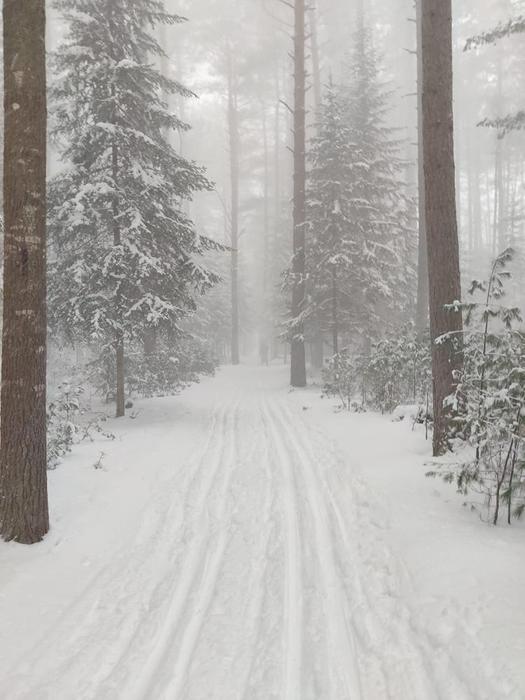 Snow squall (Credit: Jacob ford)