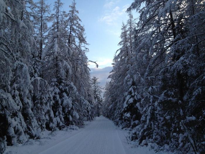 Trail 7A south of NY Route 3 Near Massaweppi (Credit: St. Lawrence County Snowmobile Association)