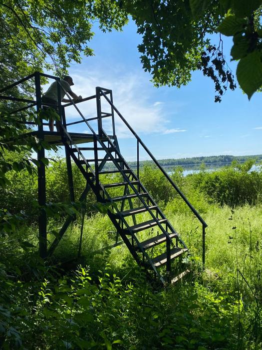 (Credit: Dee and Scott Rogers)